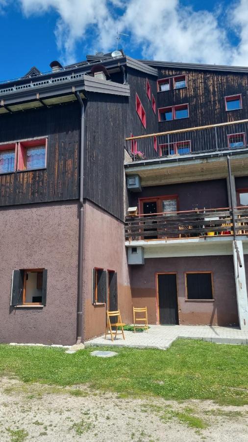 La Casa Degli Artisti - Presso Sussy Residence Falcade Exterior foto